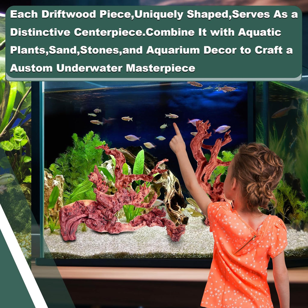 Natural Wood Driftwood for Aquarium Fish Tank Decor,Assorted Driftwood Trunk Branch for Reptile Tank Decor (COL-SHM Driftwood Medium (12 to15 Inch)-Pack of 2)