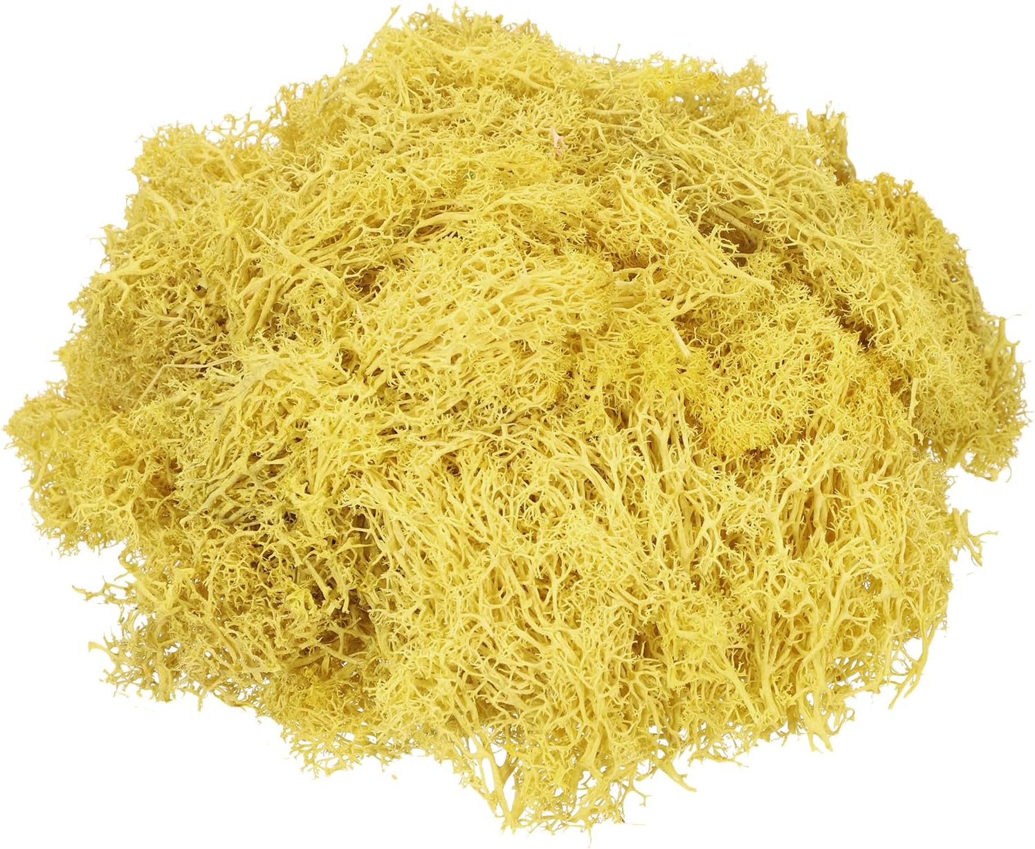 MECCANIXITY 4.6oz Preserved Reindeer Moss, Yellow Decorative Artificial Fake Moss for Potted Plants Indoor Crafts Lichen Centerpieces Decor