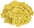 MECCANIXITY 3oz Preserved Reindeer Moss, Yellow Decorative Artificial Fake Moss for Potted Plants Indoor Crafts Lichen Centerpieces Decor