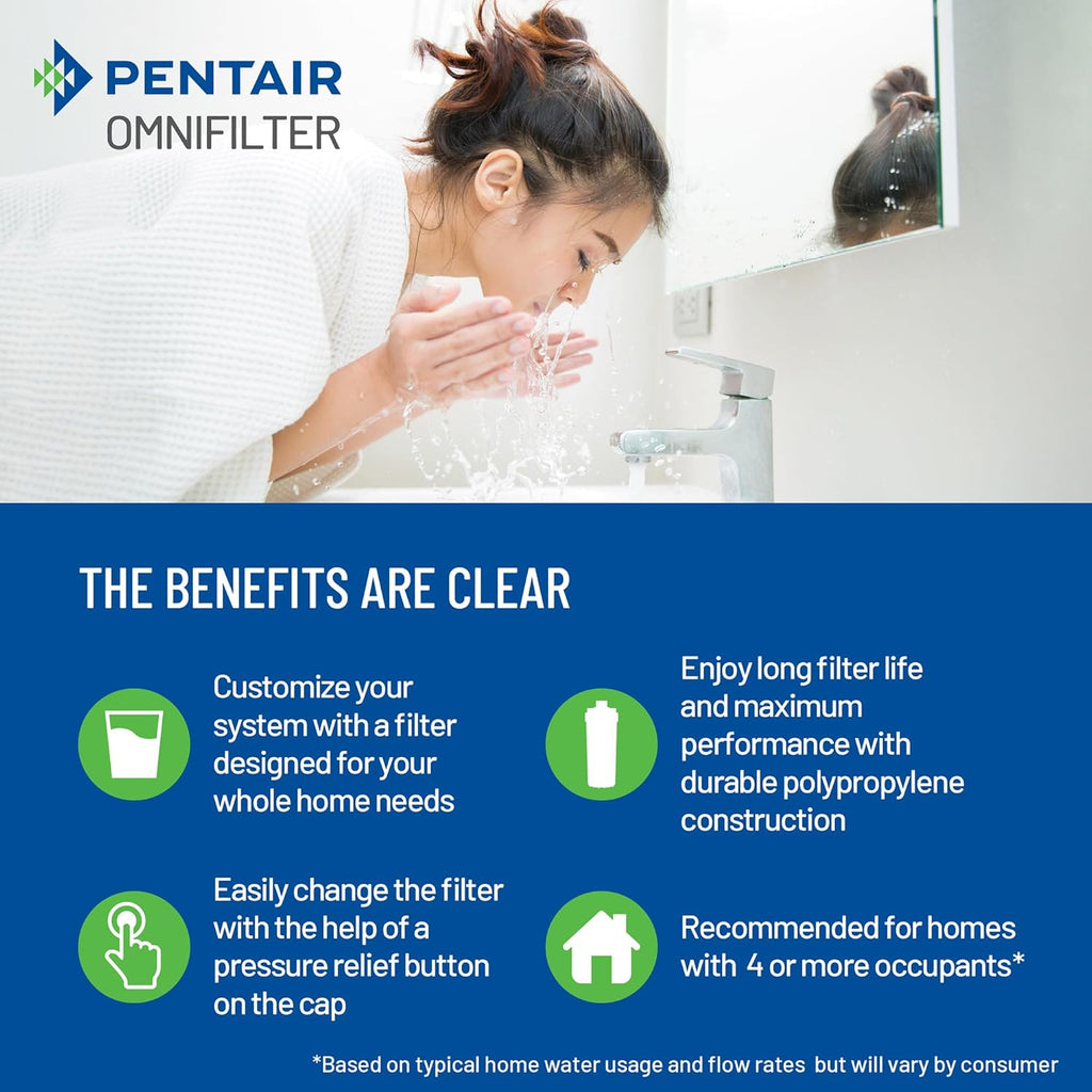 Pentair OMNIFilter Whole Home 20" Heavy-Duty Big Blue Water Filtration System with Pressure Relief, Black/Blue