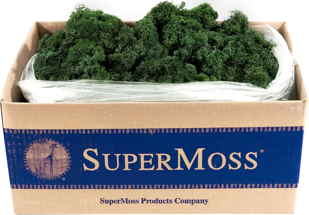 Super Moss (21710) Reindeer Moss Preserved, Forest Green, 3lbs
