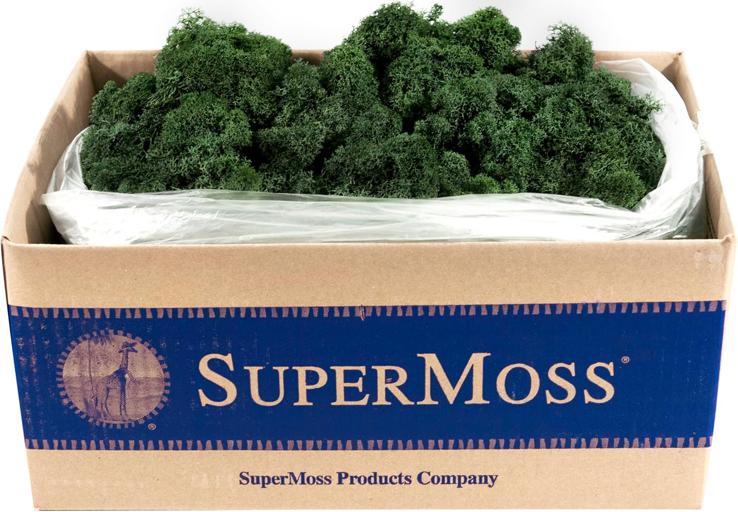 Super Moss (21710) Reindeer Moss Preserved, Forest Green, 3lbs