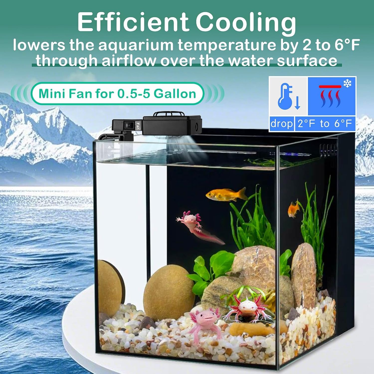 hygger Mini Aquarium Chiller Fan Adjustable Speed & Timer Fish Tank Cooler Cooling System Axolotl Tank Accessories Up to 5 Gallon