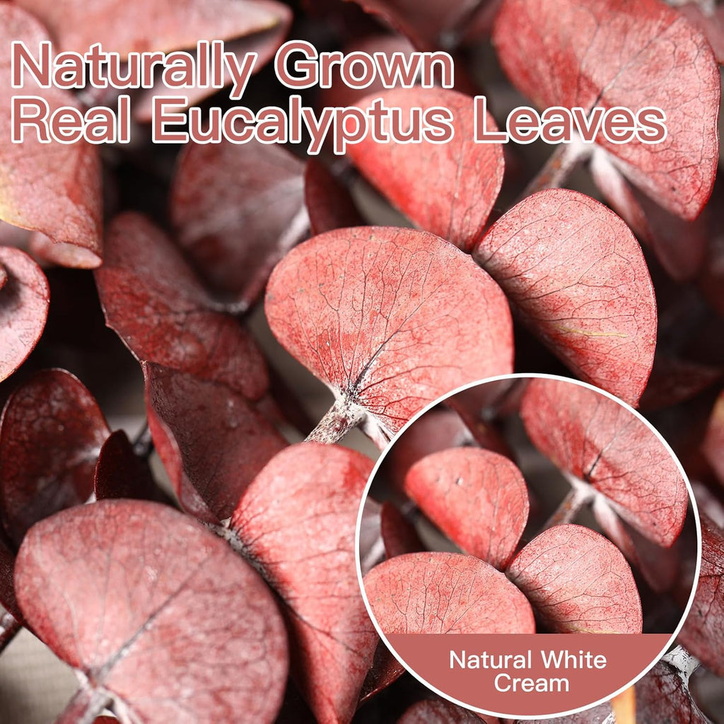 20 Pcs Dried Eucalyptus Stems, 17'' Natural Real Live Red Eucalyptus Leaves Branches Hanging Shower, Preserved Dried Plants for SPA Home Fragrance Bathroom Table Vase Decor