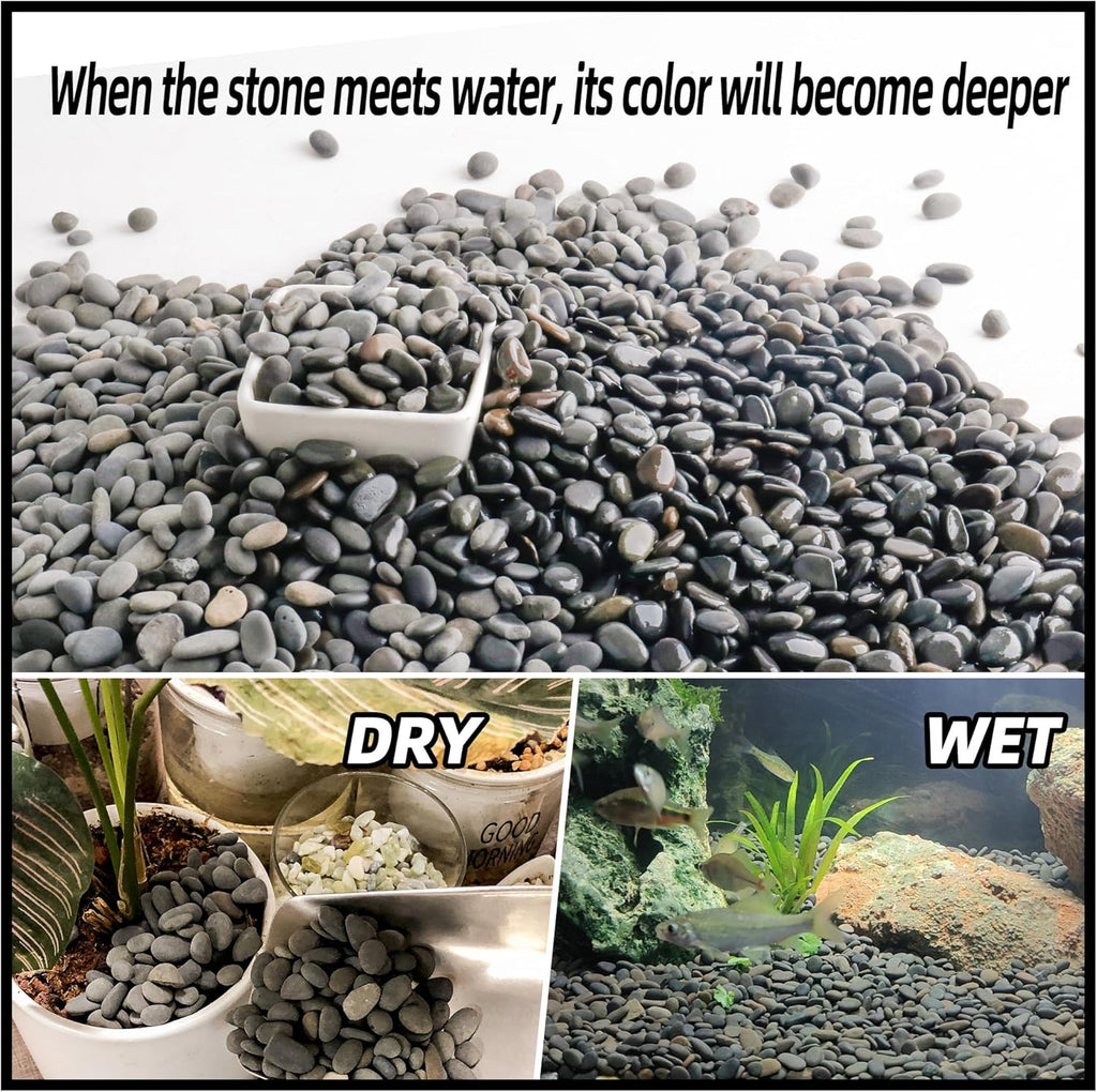 CJGQ Decorative River Rocks for Succulents & Cactus Garden Landscaping - 2.4lb Black Mexican Beach Pebbles for Aquarium & Terrarium
