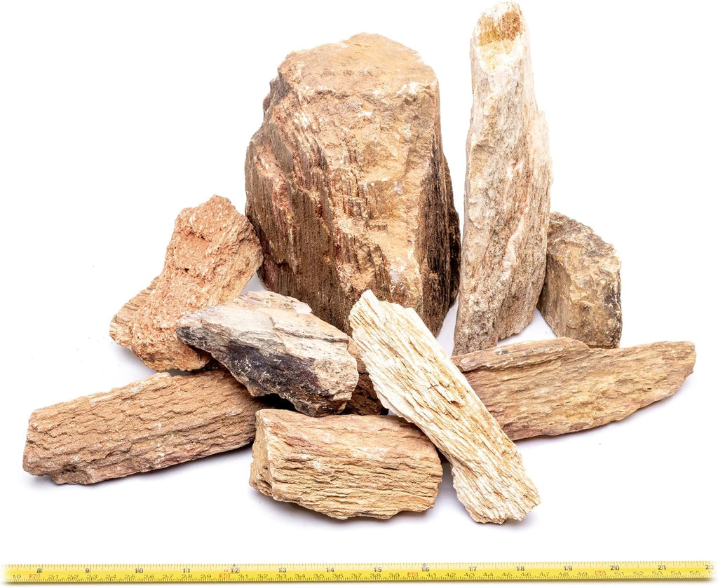 SubstrateSource Natural Stone for Aquarium, Terrarium, Paludarium, Reptile Enclosures - Set of Decorative Rocks for Landcapes, Aquascaping, Fish Tank Decor (Burmese Petrified Wood Stone, 10 lbs, 3-7")