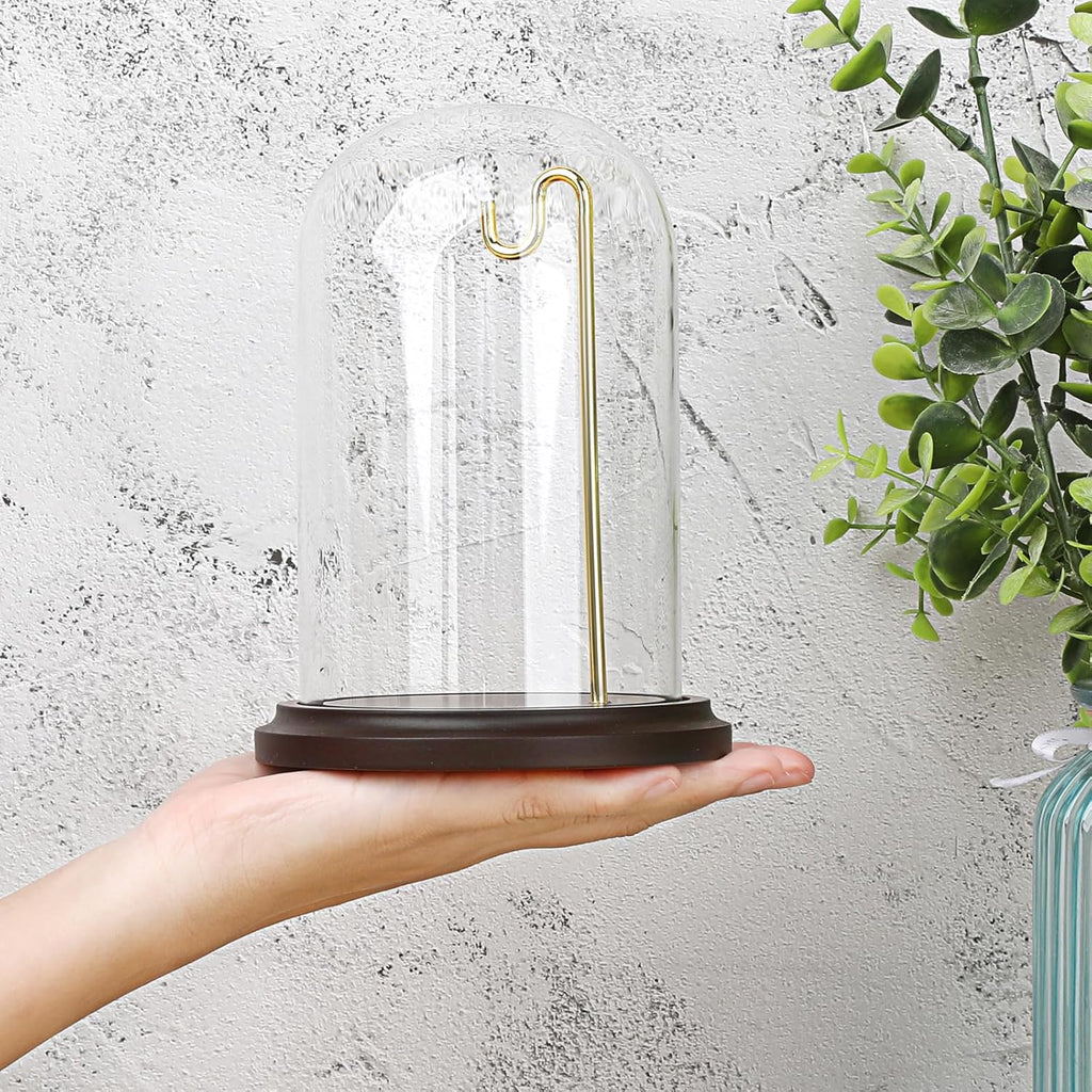 JUXYES Clear Watch Glass Display Dome Cloche With Hook, Dome Cloche with Hook with Wooden Base, Transparent Dome Cloche Bell Terrarium Jar Glass Cloche Bell Jar Display for Watch Ornaments