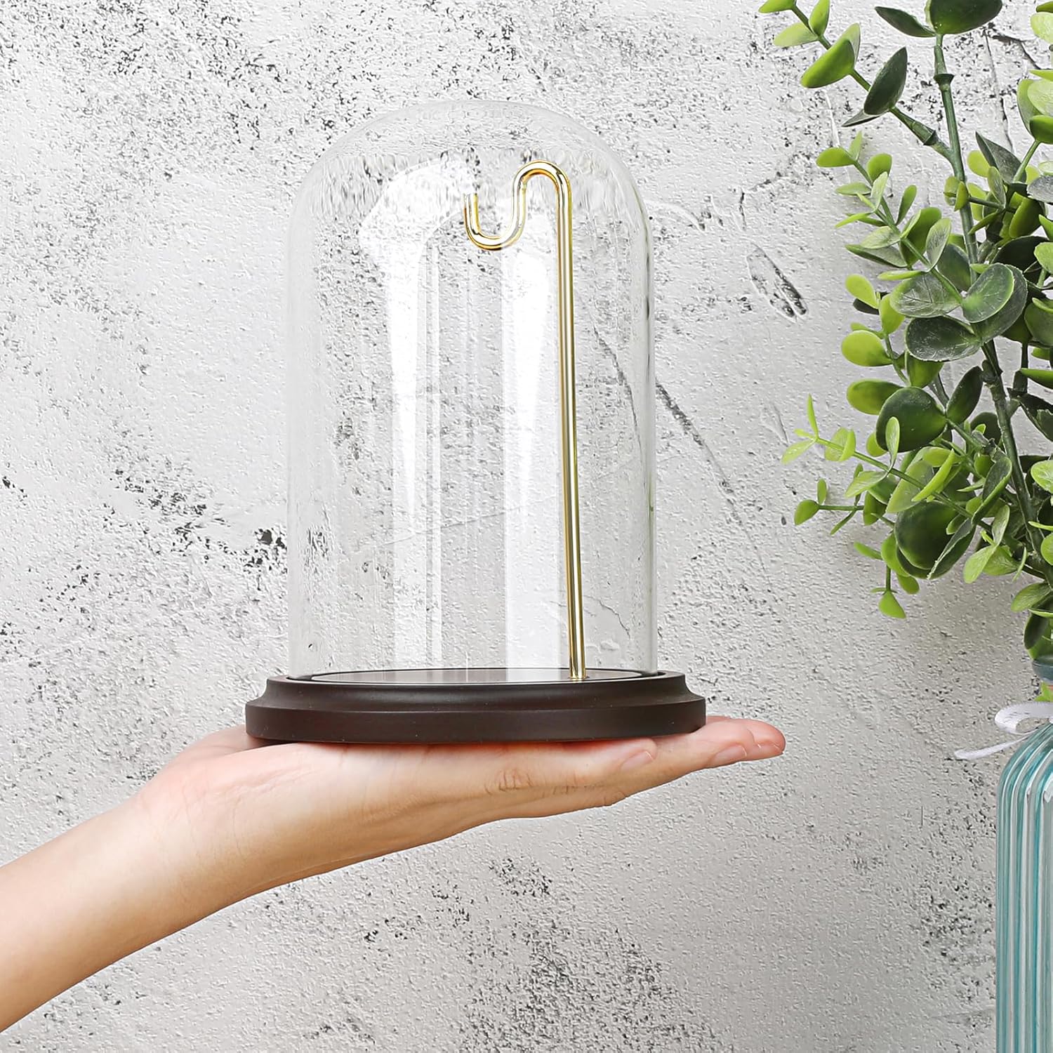 JUXYES Clear Watch Glass Display Dome Cloche With Hook, Dome Cloche with Hook with Wooden Base, Transparent Dome Cloche Bell Terrarium Jar Glass Cloche Bell Jar Display for Watch Ornaments