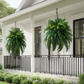 Artificial Boston Fern Plants 2 Pack 38 Leaves 33' Large Artificial Ferns Realistic Fake Hanging Ferns Faux Greenery for Indoor Outdoor Decor Home Office Porch