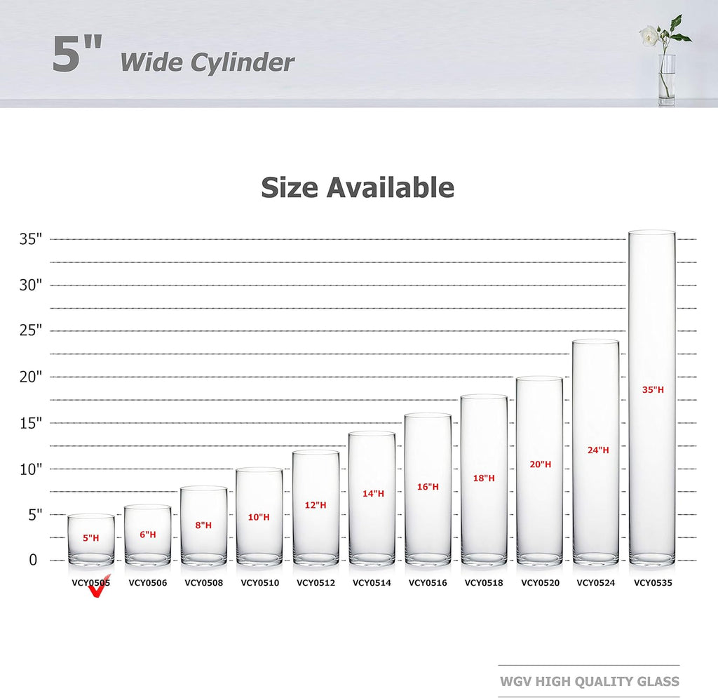 WGV Cylinder Glass Vase, Diameter 5", Height 5", Clear Glass Floral Planter Container, Floating Candle Holder for Wedding Party Event Home Office Decor, 1 Piece