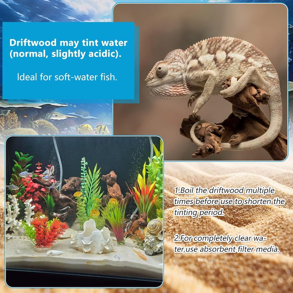 3 Pcs Natural Driftwood for Aquarium, Aquarium Driftwood Freshwater 8-10 Inch, Assorted Size Mopani Wood, Twisted Branches for Fishtank Accessories, Reptile Terrariums Decorations