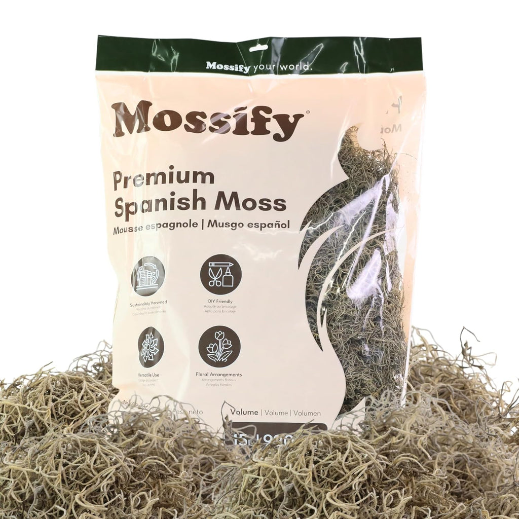 Mossify Premium Spanish Moss for Plants Indoor & Outdoor 500g, 1.1lbs - Natural Dried Preserved Moss for Crafts, Terrariums, Floral Arrangements, Garden & Home Décor – Humidity Retaining Spanish Moss