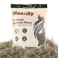 Mossify Premium Spanish Moss for Plants Indoor & Outdoor 500g, 1.1lbs - Natural Dried Preserved Moss for Crafts, Terrariums, Floral Arrangements, Garden & Home Décor – Humidity Retaining Spanish Moss