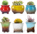 ARTKETTY Succulent Pots - Small Succulent Plant Pot with Drainage Pack of 6, Ceramic Cactus Planter Pots for Indoor Unique Flower Planter Container for Home Office Decor