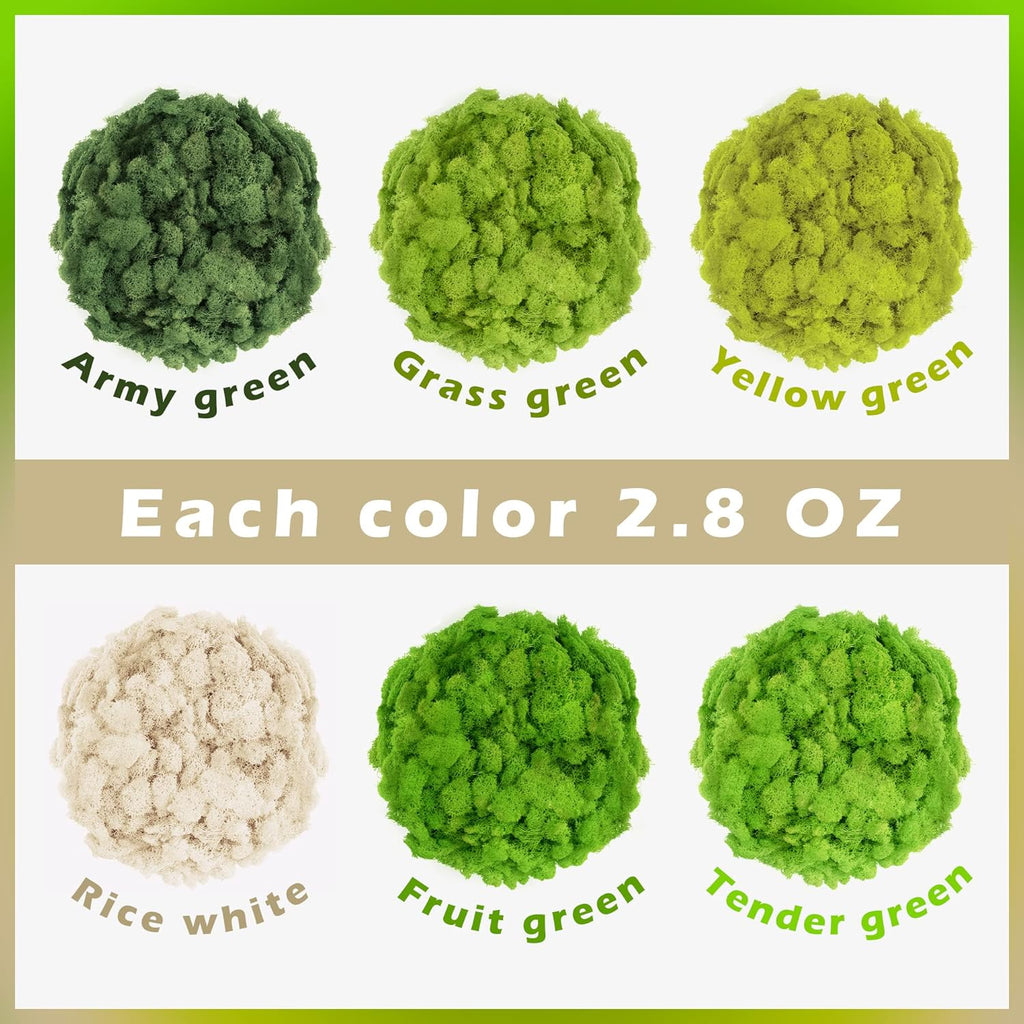 6 Colors Preserved Moss-16.9 OZ Natural Reindeer Moss-Moss for Crafts, Potted Plants Floral Arrangements Home Artistic Garden Decoration