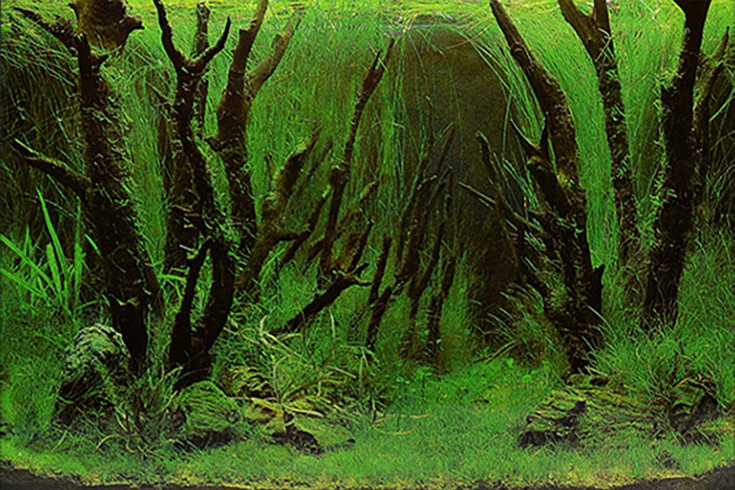 ELEBOX New 20" x 48" Fish Tank Background Paper Wallpaper 2 Sided Colorful Seaweed Water Plants Aquarium Poster Decorations