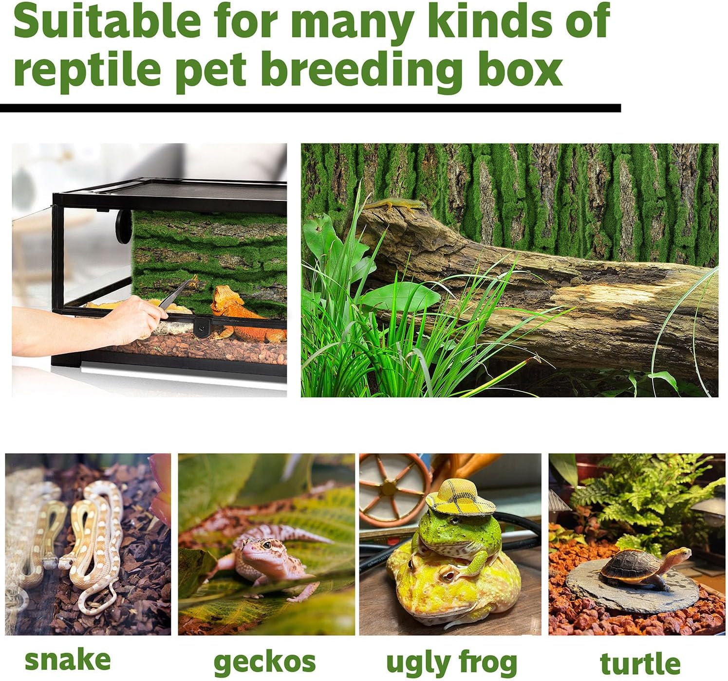 15.75x11.81in Reptile Terrarium Cork Background,Bearded Dragon Tank Bark Backdrop Wall Decor with Artificial Moss for Gecko Lizard Tortoise Frog Chameleon(1Pcs)