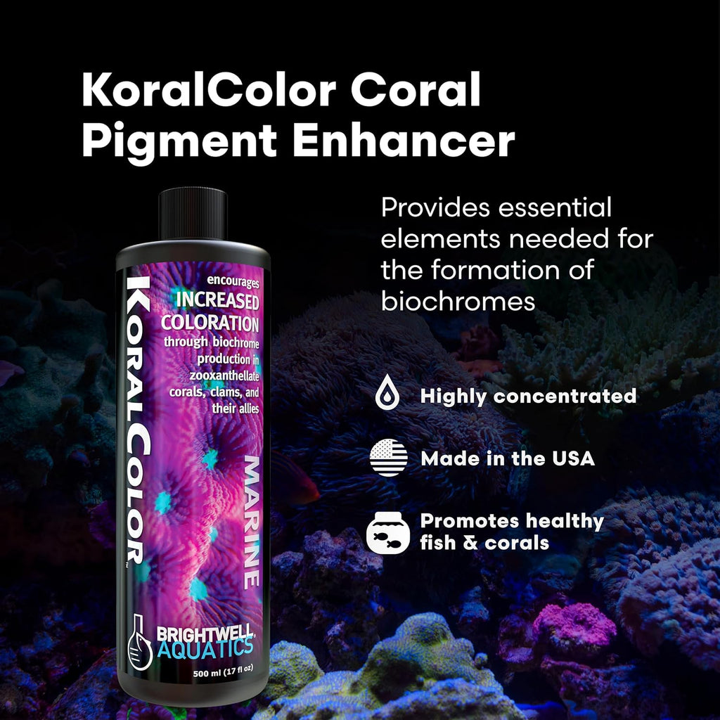 Brightwell Aquatics KoralColor – Coral Pigment Enhancer for Vibrant Reef Colors – Supports Zooxanthellae Biochrome Formation – Professional-Grade Trace Elements, 125 ml