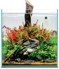 Ultum Nature Systems Rimless All in One Aquarium - Cube Fish Tank, Freshwater AIO Aquarium, Rimless Fish Tank w/Triple-Chamber Filter & White Background - 7 Gallon - 11.81" x 11.81" x 11.81" - 30A
