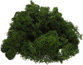 uxcell Preserved Reindeer Moss, 4 OZ Fake Moss for Crafts Artificial Dried Moss for Decoration, Craft, Terrariums, Potted Plants, Centerpieces Fairy Gardens (Dark Green)