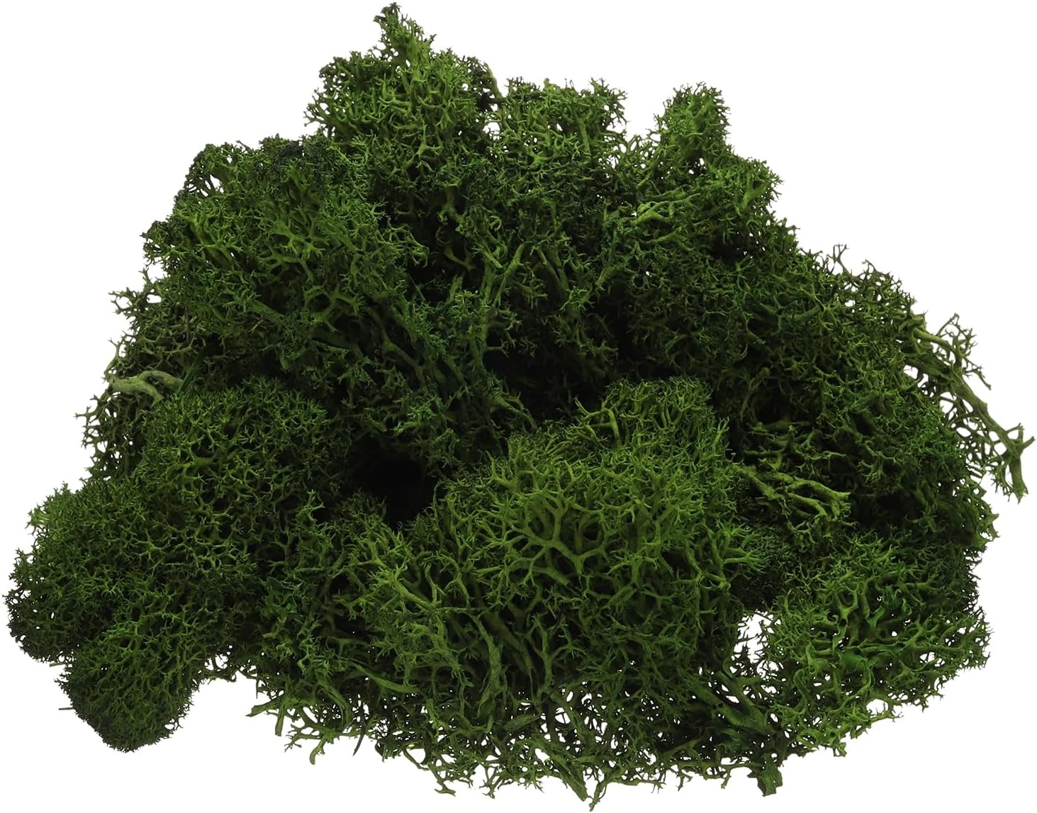 uxcell Preserved Reindeer Moss, 4 OZ Fake Moss for Crafts Artificial Dried Moss for Decoration, Craft, Terrariums, Potted Plants, Centerpieces Fairy Gardens (Dark Green)