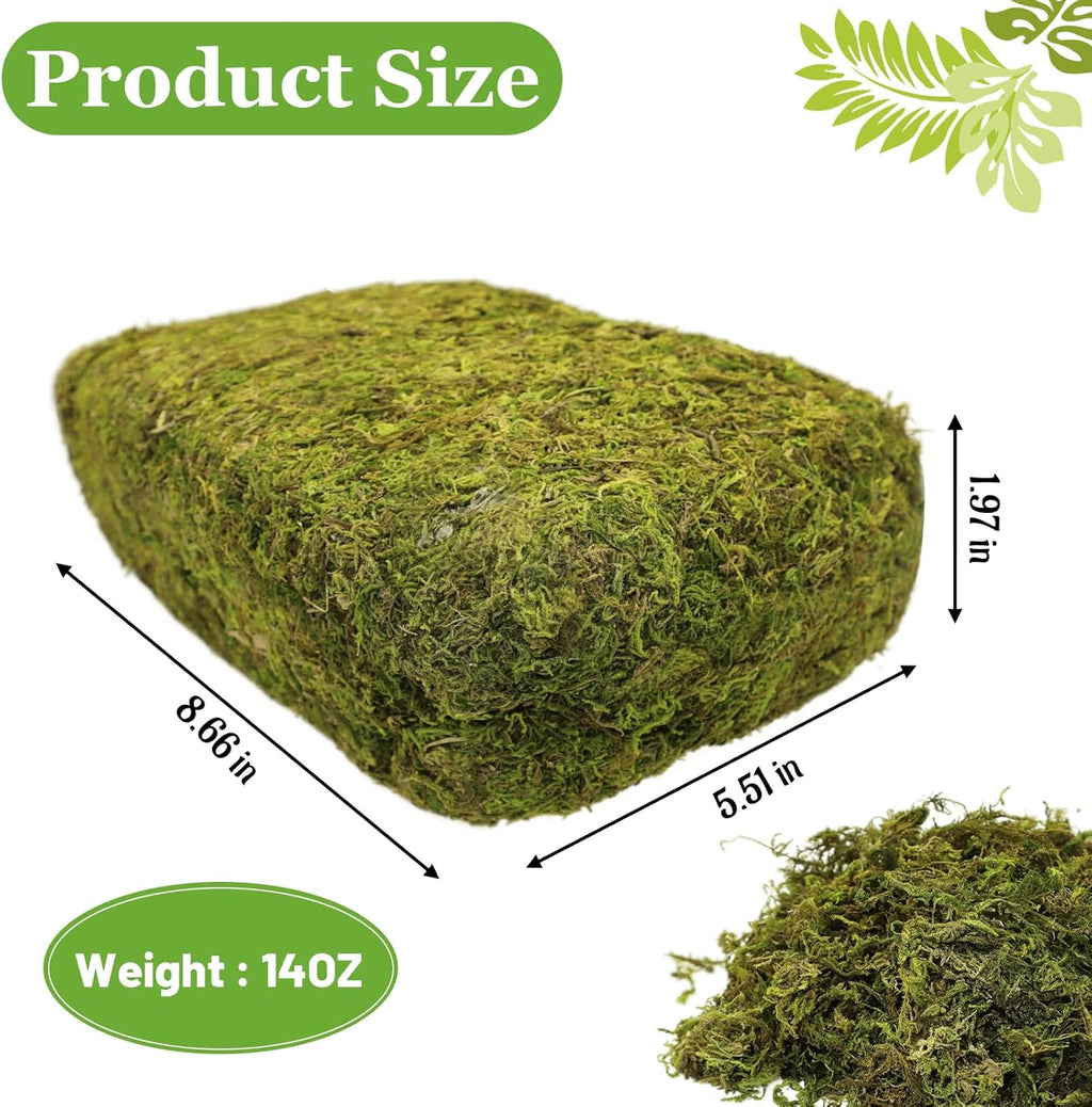 Riare 14OZ Artificial Fake Moss for Fake Plants Indoor- Premium Faux Craft Moss for Potted Plant, Fresh Forest Green for Hamsters Micro-Landscape Terrariums Centerpieces Decor