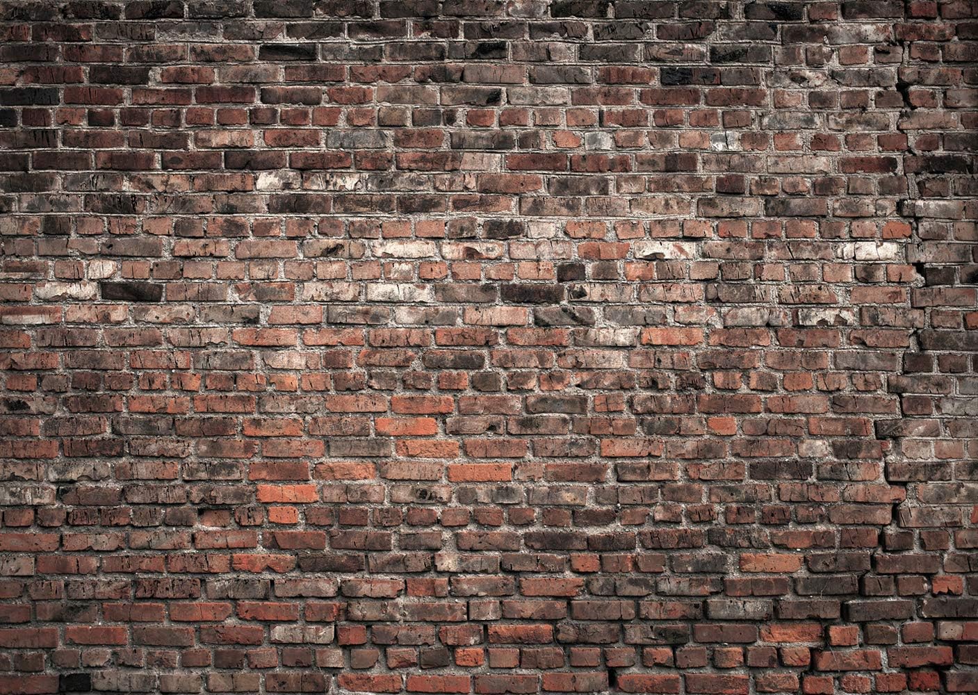 LTLYH 7x5ft Red Brick Wall Photography Backdrop Vintage Theme Stone Brick Design Photography Banner Background Decoration 135