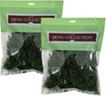 Preserved Spanish Moss - Premium Decorative Moss for Crafts, Home Décor, Art, Design & DIY Projects - Real Moss - Non-Toxic, USA-Made (Forest Green, Medium, 2-Pack)