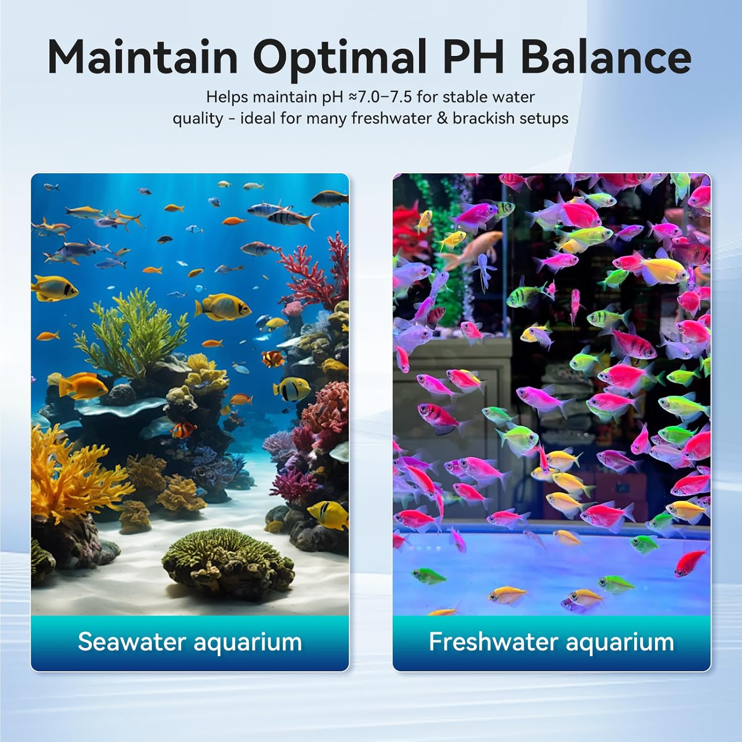 12-in-1 Aquarium Filter Media for Freshwater & Marine Tanks, Bio Filter Mix with Ceramic Rings & Bio Balls, Helps Maintain Clear Water for Sump, Pond & Koi Fish Tanks