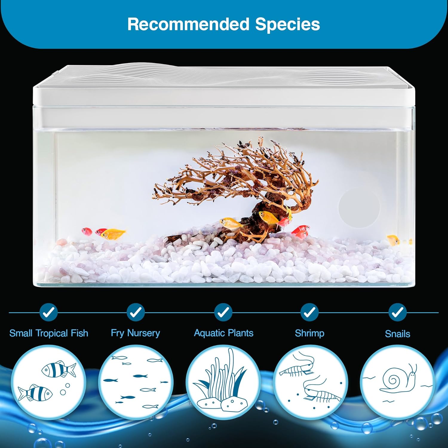 Harmony Aquarium Tank by Clairnara – All-in-One 8 Gallon Freshwater Fish Tank with LED Light, Quiet Pump, and Patented Filtration – iF Design Award Winner
