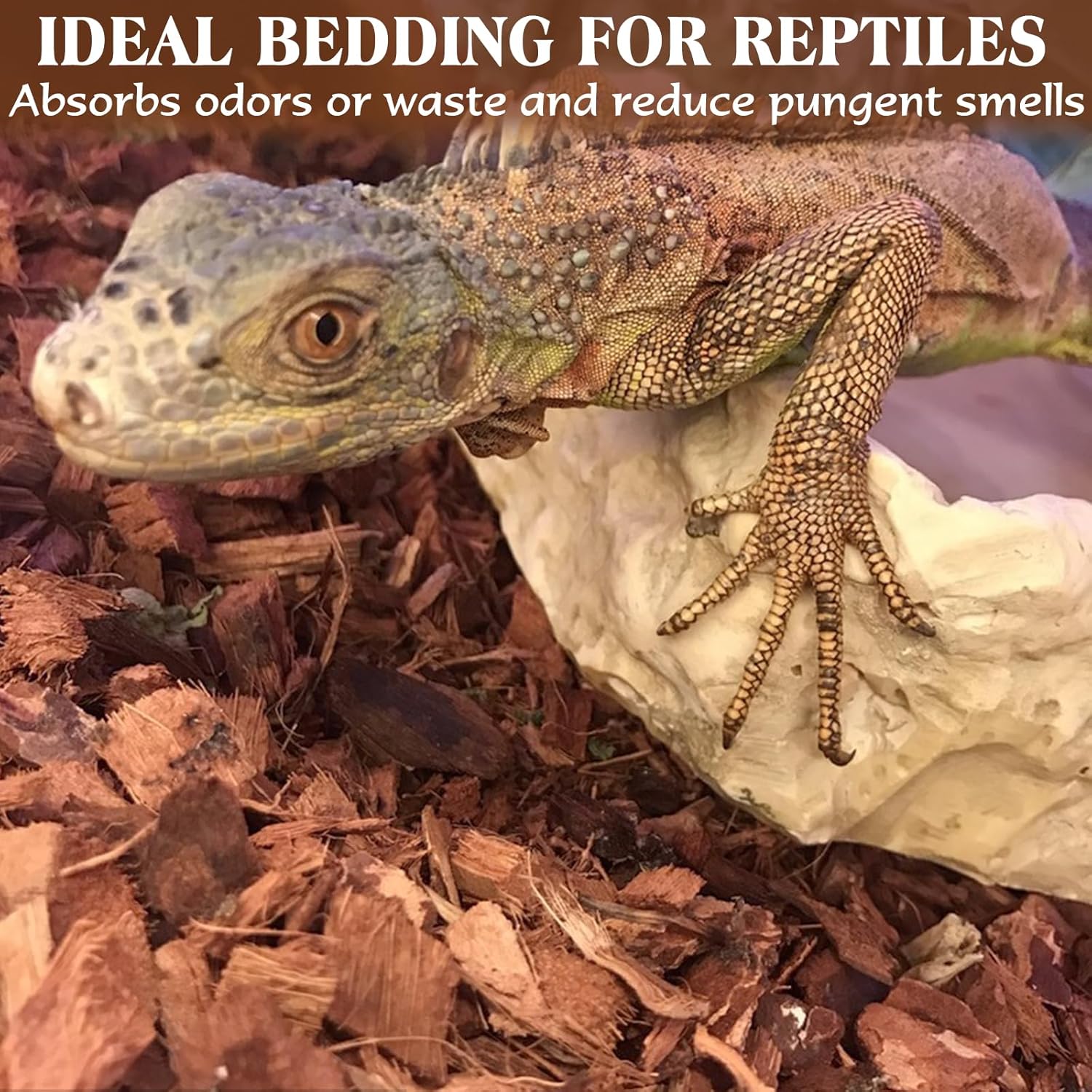 ZeeDix 10LBS Coconut Husk Chip Substrate for Reptiles, 72QT Compressed Organic Coco Coir Chips for Snake Habitat, Reptile Bedding for Ball Python, Tortoises, Geckos, Lizards Terrarium Tanks