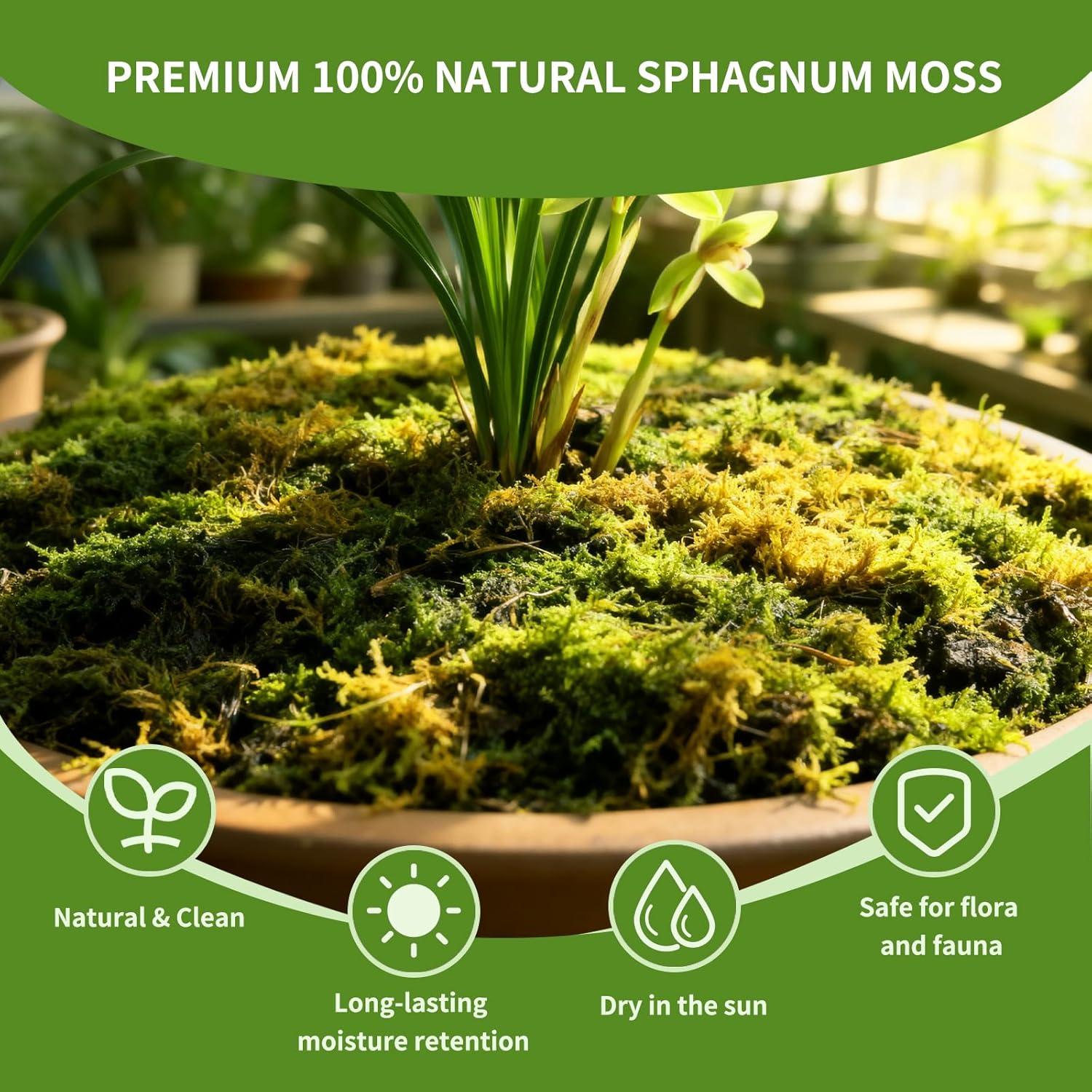 Compressed Sphagnum Moss for Plants & Reptiles (3pc)– Dried Peat Moss, Moisture-Retentive for Indoor Plants, Orchids, Terrariums, Reptile Bedding (100% Natural, Reptile-Safe