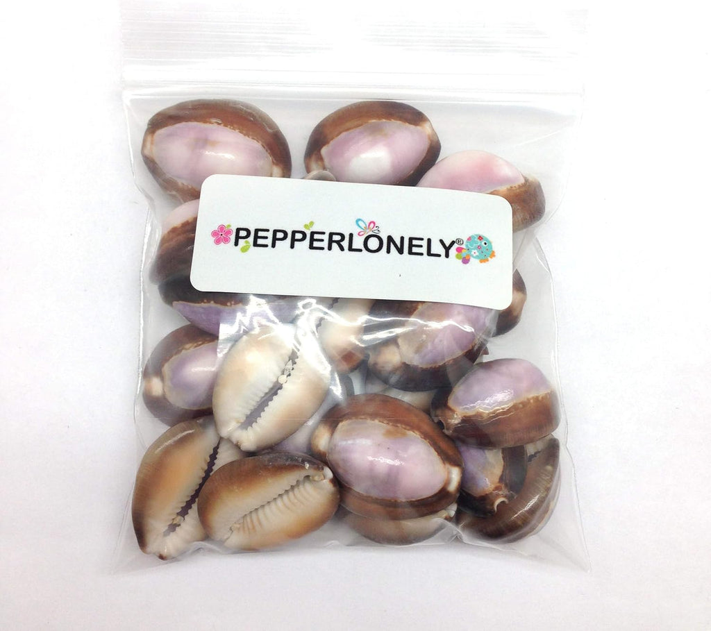 PEPPERLONELY 20 PC Purple Top Cowrie Sea Shells, 3/4 Inch ~ 1-1/4 Inch