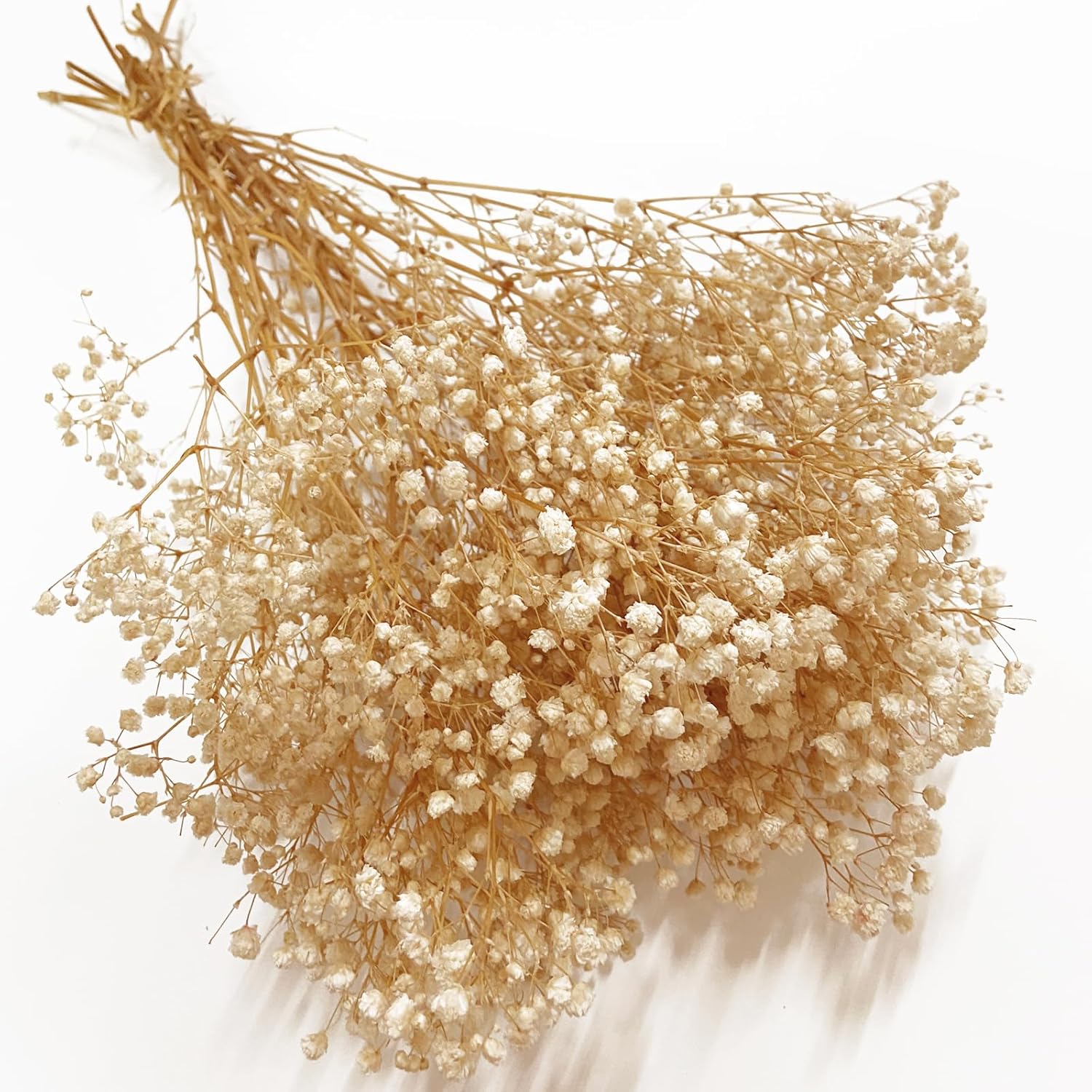 Preserved Baby's Breath, 100% Natrual Gypsophila Long Lasting Flowers for Vase Arrangements Home Decoration Photo Props Parties and Weddings, DIY Décor-White