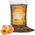 Gardenera Premium Apricot Potting Soil Mix - Ideal Nutrient Blend for Growing Robust, Flavorful, and Bountiful Apricots - 1 Quart