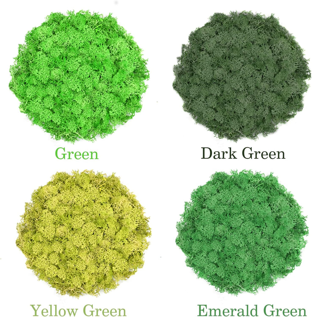 Preserved Reindeer Moss 14 OZ 4 Colors for DIY Gift, Potted Plants,Craft Decor,Wall Art,Festive Home Decorative Christmas(Green, Dark Green, Yellow Green and Emerald Green, Each Color 3.5 OZ)