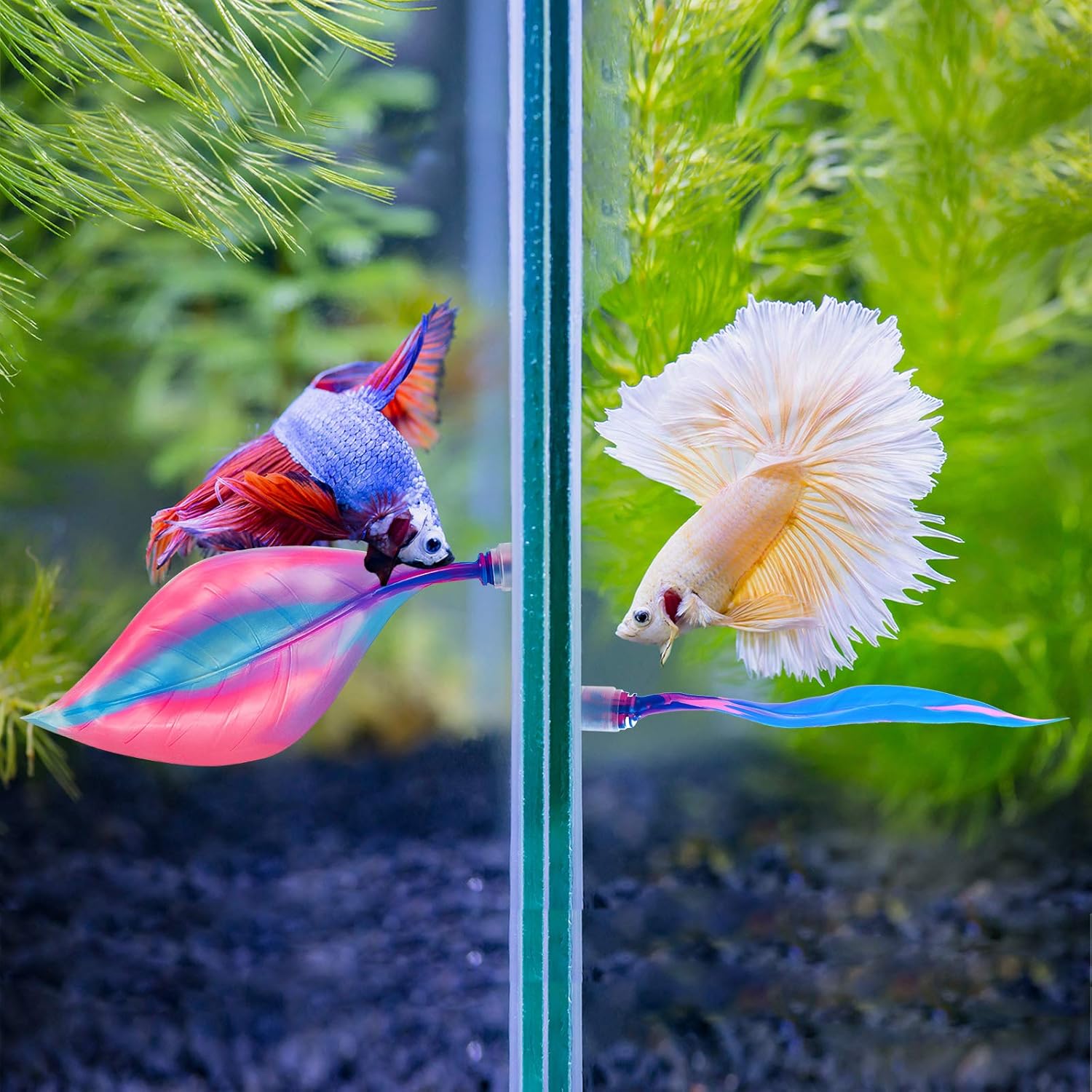 WILLBOND 2 Pieces Silicone Betta Fish Bed Leaf Hammock Betta Fish Tank Accessories, Practical Resting Spot, No Bpa, Comfortable and Safe(Blue, Pink)