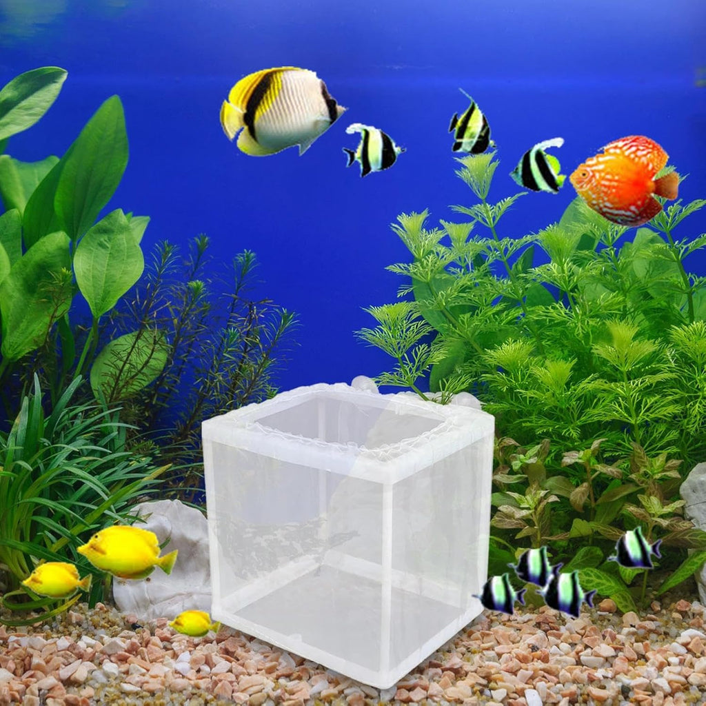 Fish Breeder Box - Fish Isolation Box Mesh Box, Aquarium Breeder Box, Fish Fry Hatchery, Juvenile Separation Net with Suction Cups, Nursery for Guppy Shrimp