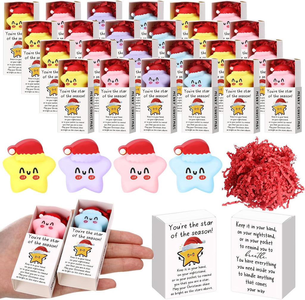 Wettarn 24 Sets Christmas Party Favors Star Stress Balls with Merry Christmas Boxes Bulk Appreciation Gifts for Employee Coworker Friends Office School Relief Toys Stocking Stuffers
