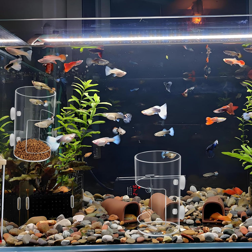 2Pcs Aquarium Fish Feeder Feeding Tray with Suction Cup, Feeding Tube Tank Divider Aquarium Breeder Box Fish Bowls Accessories Round for Turtle Shrimp Supplies Round