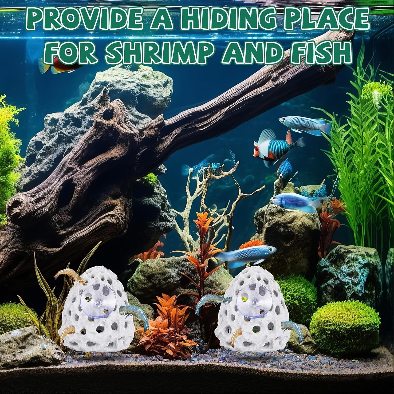 2 Pcs Shrimp Dome Hide Shrimp Hides for Aquarium White Betta Fish Hideout with Suction Cup Fish Tank Ornament Accessorie Decor for Shrimps Guppy Hiding Resting(3.15''h x 2.76'' W)