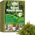 Halatool 1.1LB Green Moss for Potted Plants, 25QT Orchid Moss Potting Mix, Forest Moss for Indoor Plants, Indoor Potting Plant Moss for Repotting Terrariums Garden Reptiles