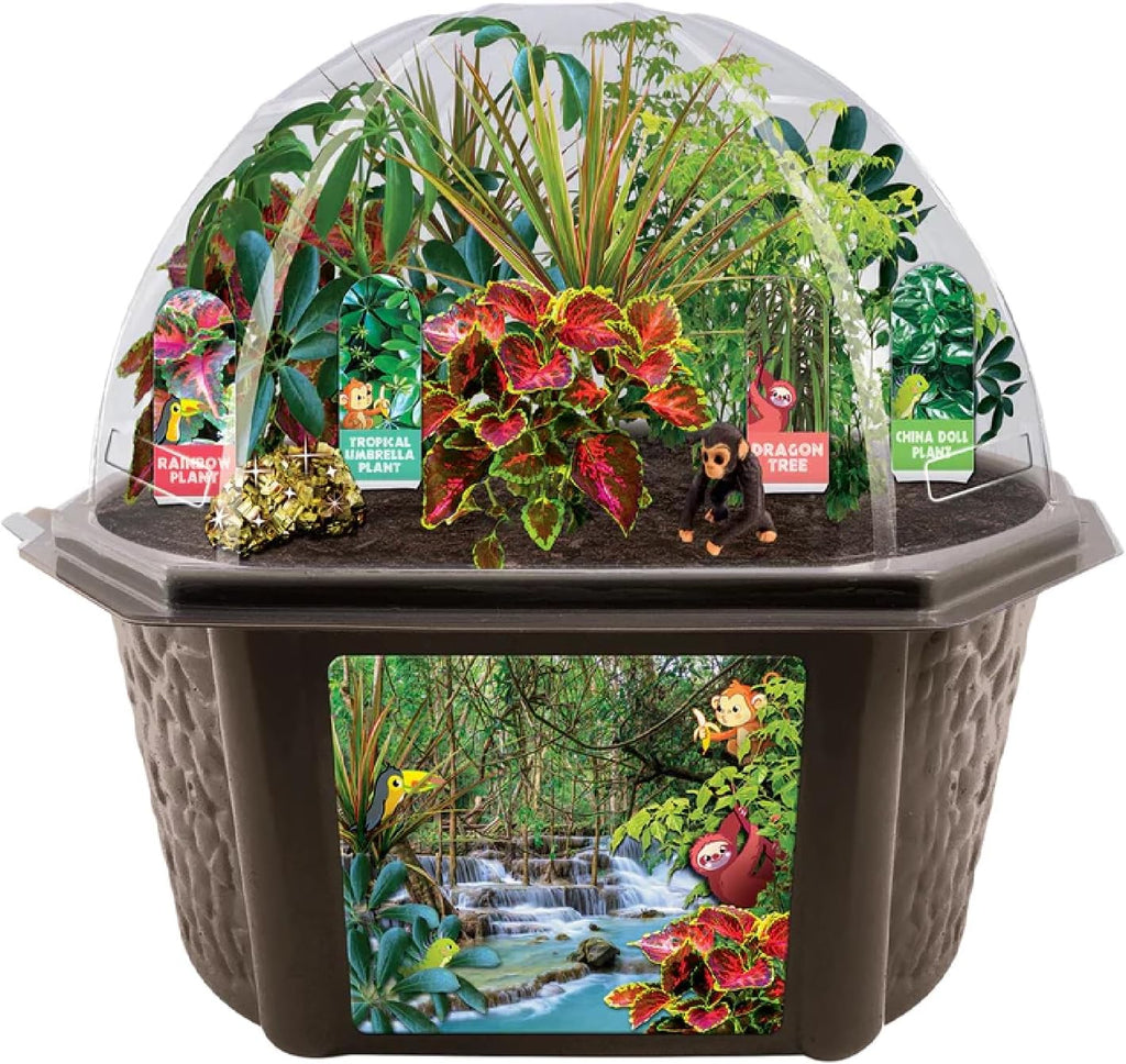 Toys by Biosphere Terrarium Starter Kit with Complete Supplies to Create Your Own Jungle! Indoor Plants for Home Displays and Gardens (Tropical Rainforest Jungle)