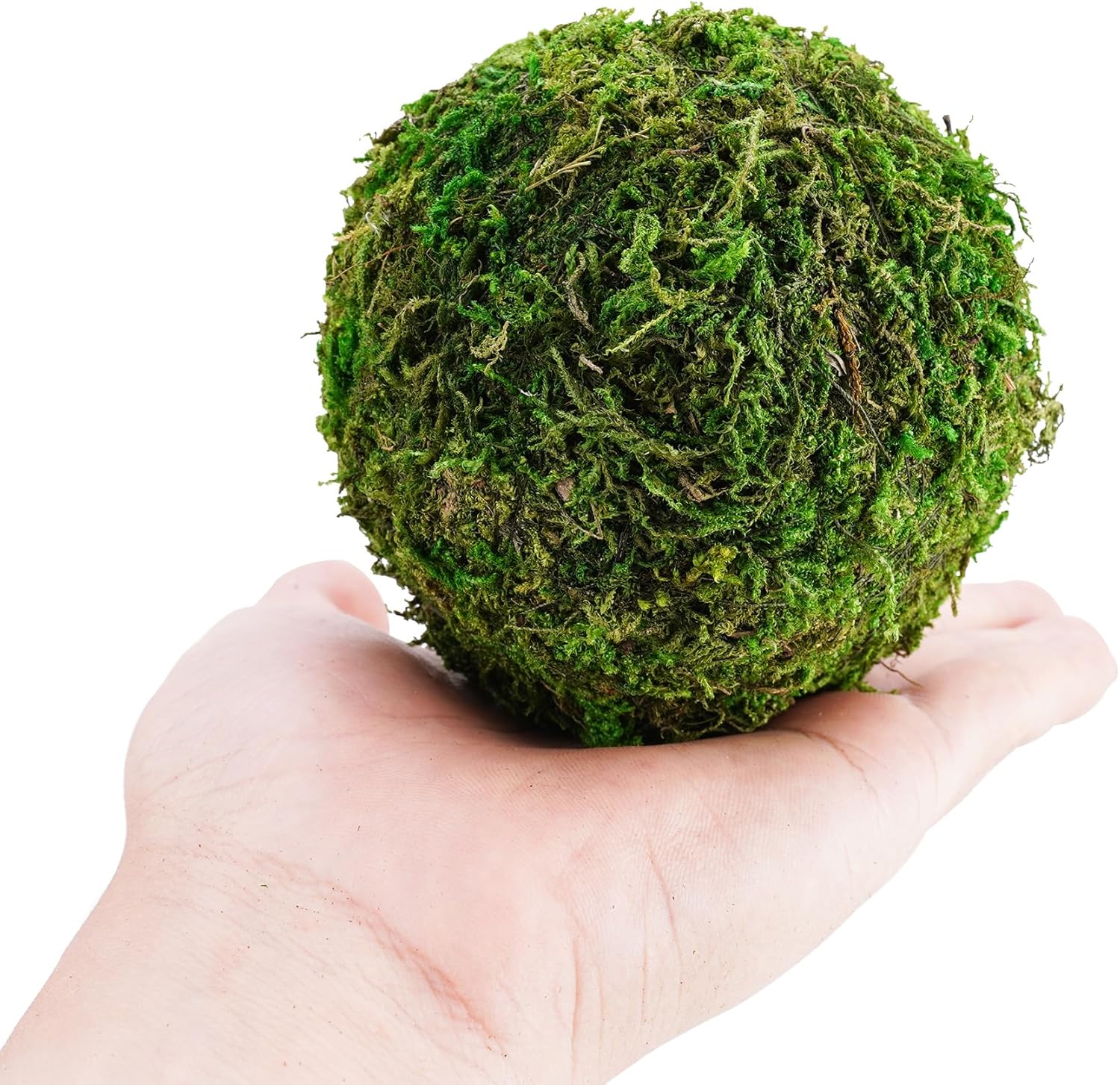 BYHER Decorative Moss Balls Set - Fake Moss Balls for Bowl Fillers, Centerpiece Decor, Home Decor, Vase Filler, Wedding Decor, Table Arrangement, Coffee Accents, DIY Crafts (Extra Large - 4"-Set of 6)