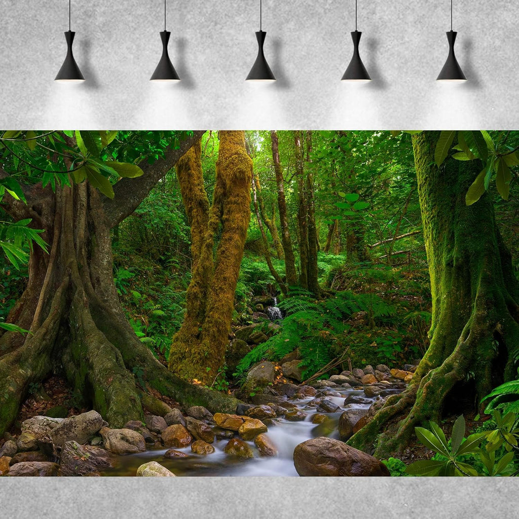 Forest Aquarium Background Jungle Rainforest Stream Fish Tank Background Lush Green Trees with Moss Terrarium Background Forest Stream Rock Theme Reptile Habitat Background Poster Vinyl 30x18in