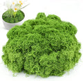 Fake Moss for Potted Plants, Artificial Green Moss Decor for DIY Table Centerpieces, Gardening, Floral Wedding Decoration, Preserved Moss for Crafts (Green-5.3oz)