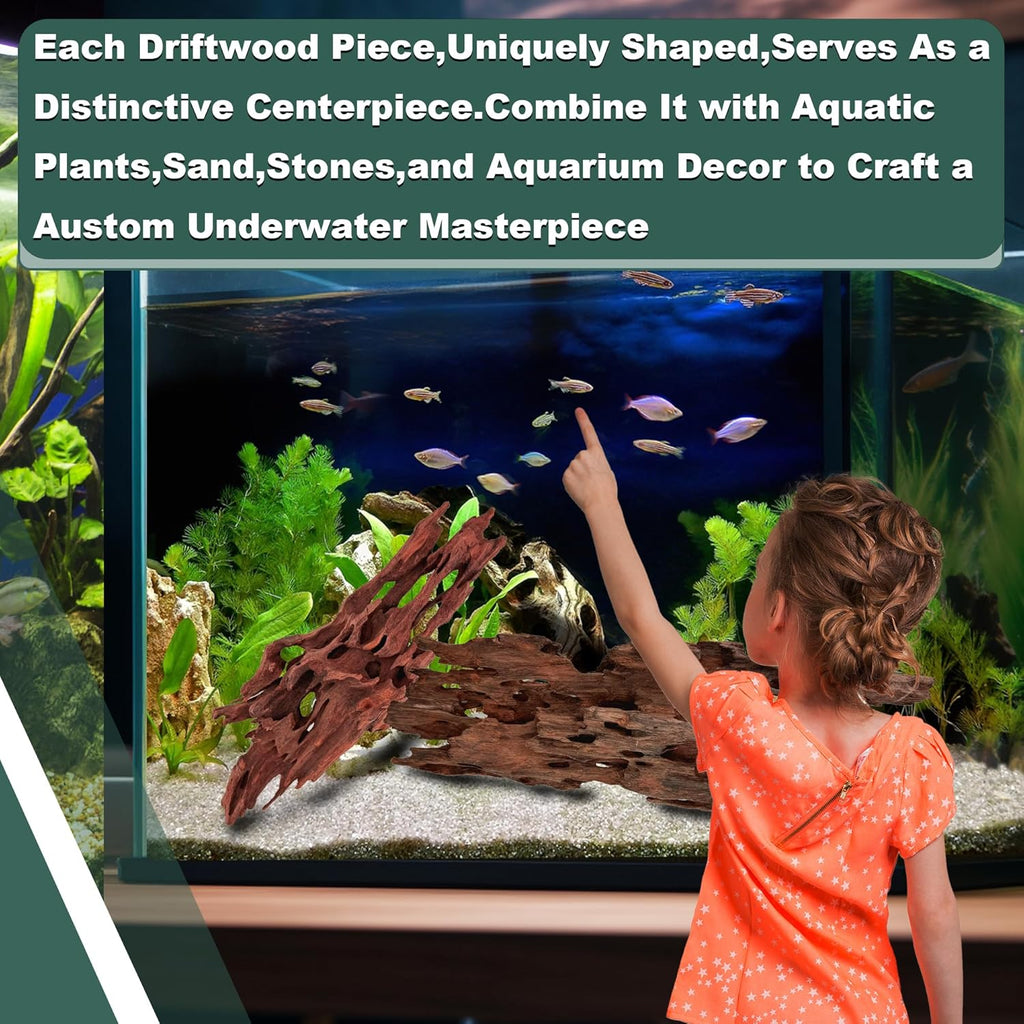 Natural Wood Driftwood for Aquarium Fish Tank Decor,Assorted Driftwood Trunk Branch for Reptile Tank Decor (SHP-XM Driftwood (6 to10 Inch)-Pack of 2)
