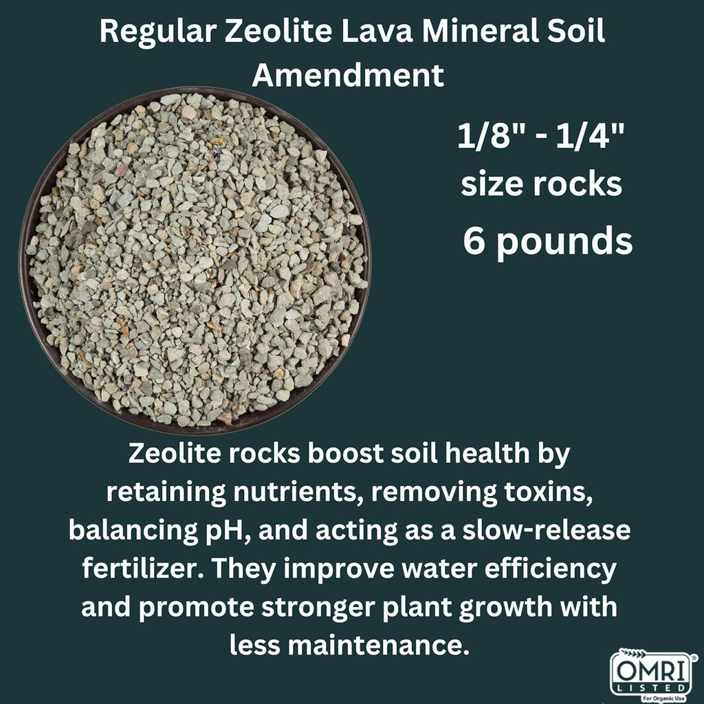 Zeolite Rocks Regular Size 2 Quarts 6 Pounds for Succulents Bonsai Trees Odor Control Soil Drainage and Moisture Balance