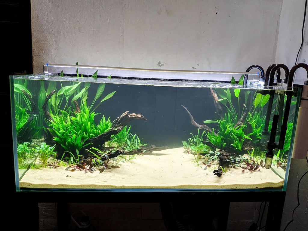 Azil Natural Driftwood 10'' - 15'' Perfect Aquarium Decoration! Ideal for Fish Tanks, Freshwater Aquariums, terrariums, aquascaping, hardscaping,Aquatic Plants.