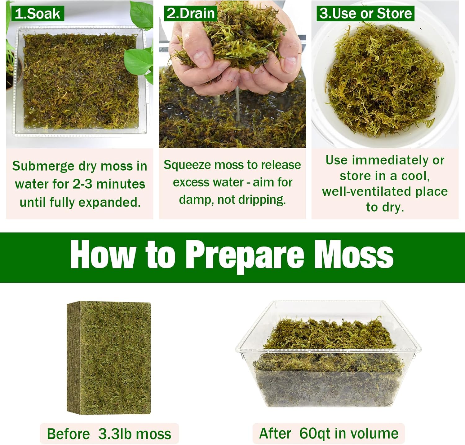 ZeeDix 1.1 lb Forest Moss for Plants Indoor - Dried Orchid Moss for Repotting, Natural Green Sphagnum Moss for Potted Plants Carnivorous Monstera Succulents Crafts Reptile Habitat (Expands to 25 qt)